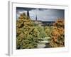 Uppsala Cathedral, Uppsala, Sweden, Scandinavia-Christopher Rennie-Framed Photographic Print