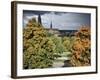 Uppsala Cathedral, Uppsala, Sweden, Scandinavia-Christopher Rennie-Framed Photographic Print