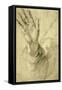 Upraised Right Hand, with Palm Facing Outward: Study for Saint Peter, 1518-20-Raphael-Framed Stretched Canvas