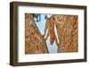 Upside Down-Alessandro Catta-Framed Photographic Print