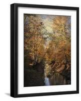 Upstream-Jai Johnson-Framed Giclee Print