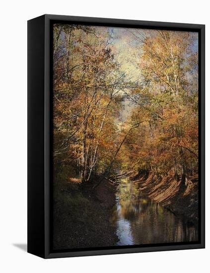 Upstream-Jai Johnson-Framed Stretched Canvas