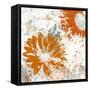 Upsy Daisy II-Michael Brey-Framed Stretched Canvas