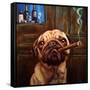 Uptown Pug-Lucia Heffernan-Framed Stretched Canvas