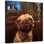 Uptown Pug-Lucia Heffernan-Stretched Canvas