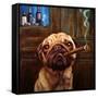 Uptown Pug-Lucia Heffernan-Framed Stretched Canvas