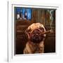 Uptown Pug-Lucia Heffernan-Framed Art Print