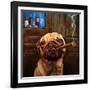 Uptown Pug-Lucia Heffernan-Framed Art Print