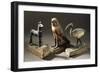 Upuaut as Jackal-null-Framed Giclee Print