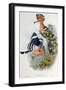 Upupa Epops-John Gould-Framed Giclee Print