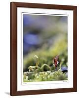 Upward Growth-Michelle Wermuth-Framed Giclee Print