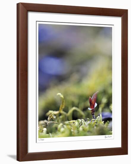 Upward Growth-Michelle Wermuth-Framed Giclee Print