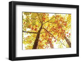 Upward-Michael Hudson-Framed Art Print