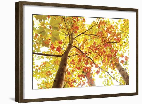 Upward-Michael Hudson-Framed Art Print