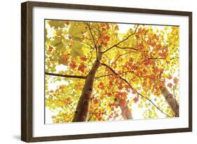 Upward-Michael Hudson-Framed Art Print