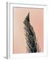 Upwards 1-Design Fabrikken-Framed Photographic Print