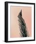 Upwards 1-Design Fabrikken-Framed Photographic Print