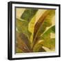 Uraba I-Patricia Pinto-Framed Premium Giclee Print