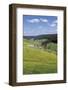 Urachtal, Black Forest, Baden-Wurttemberg, Germany-Markus Lange-Framed Photographic Print