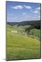 Urachtal, Black Forest, Baden-Wurttemberg, Germany-Markus Lange-Mounted Photographic Print