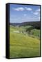 Urachtal, Black Forest, Baden-Wurttemberg, Germany-Markus Lange-Framed Stretched Canvas