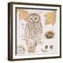 Ural Owl-Chad Barrett-Framed Art Print