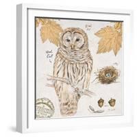 Ural Owl-Chad Barrett-Framed Art Print