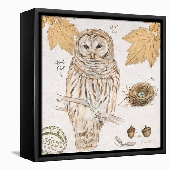 Ural Owl-Chad Barrett-Framed Stretched Canvas