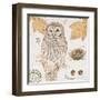 Ural Owl-Chad Barrett-Framed Art Print