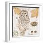 Ural Owl-Chad Barrett-Framed Art Print