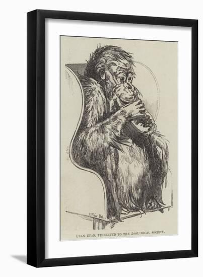 Uran-Utan, Presented to the Zoological Society-Harrison William Weir-Framed Premium Giclee Print