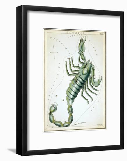 Urania's Mirror, Scorpio, 1825-Sidney Hall-Framed Art Print