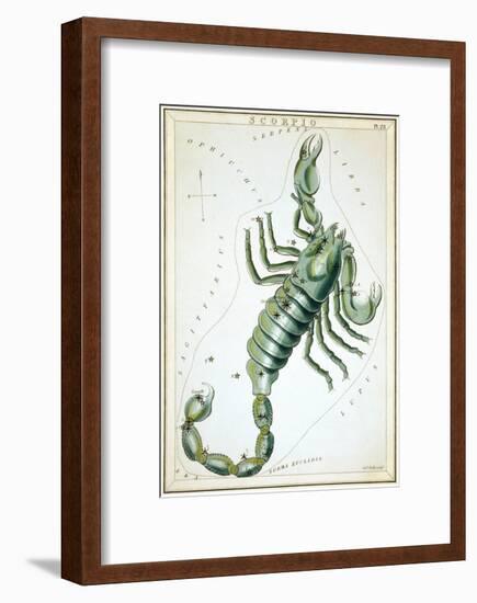 Urania's Mirror, Scorpio, 1825-Sidney Hall-Framed Art Print