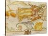 Uranographia, or the Celestial Atlas, circa 1800-John Bevis-Stretched Canvas