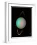 Uranus-null-Framed Premium Photographic Print