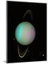 Uranus-null-Mounted Premium Photographic Print