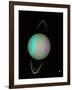 Uranus-null-Framed Premium Photographic Print