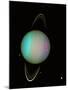 Uranus-null-Mounted Premium Photographic Print