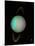 Uranus-null-Mounted Photographic Print