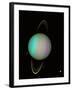 Uranus-null-Framed Photographic Print