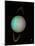 Uranus-null-Mounted Photographic Print