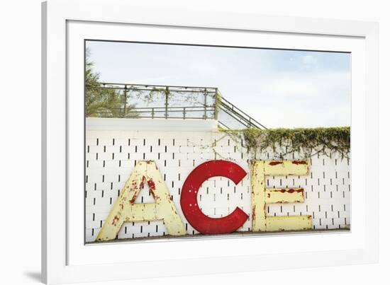 Urban Ace-Irene Suchocki-Framed Giclee Print