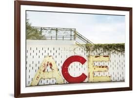 Urban Ace-Irene Suchocki-Framed Giclee Print