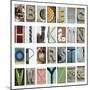 Urban Alphabet-Mike Toy-Mounted Giclee Print