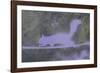 Urban Animals II-Ken Hurd-Framed Giclee Print