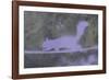 Urban Animals II-Ken Hurd-Framed Giclee Print