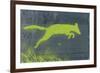 Urban Animals V-Ken Hurd-Framed Giclee Print
