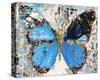 Urban Camo Butterfly-Parker Greenfied-Stretched Canvas