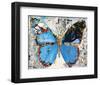 Urban Camo Butterfly-Parker Greenfied-Framed Art Print