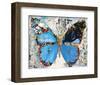 Urban Camo Butterfly-Parker Greenfied-Framed Art Print